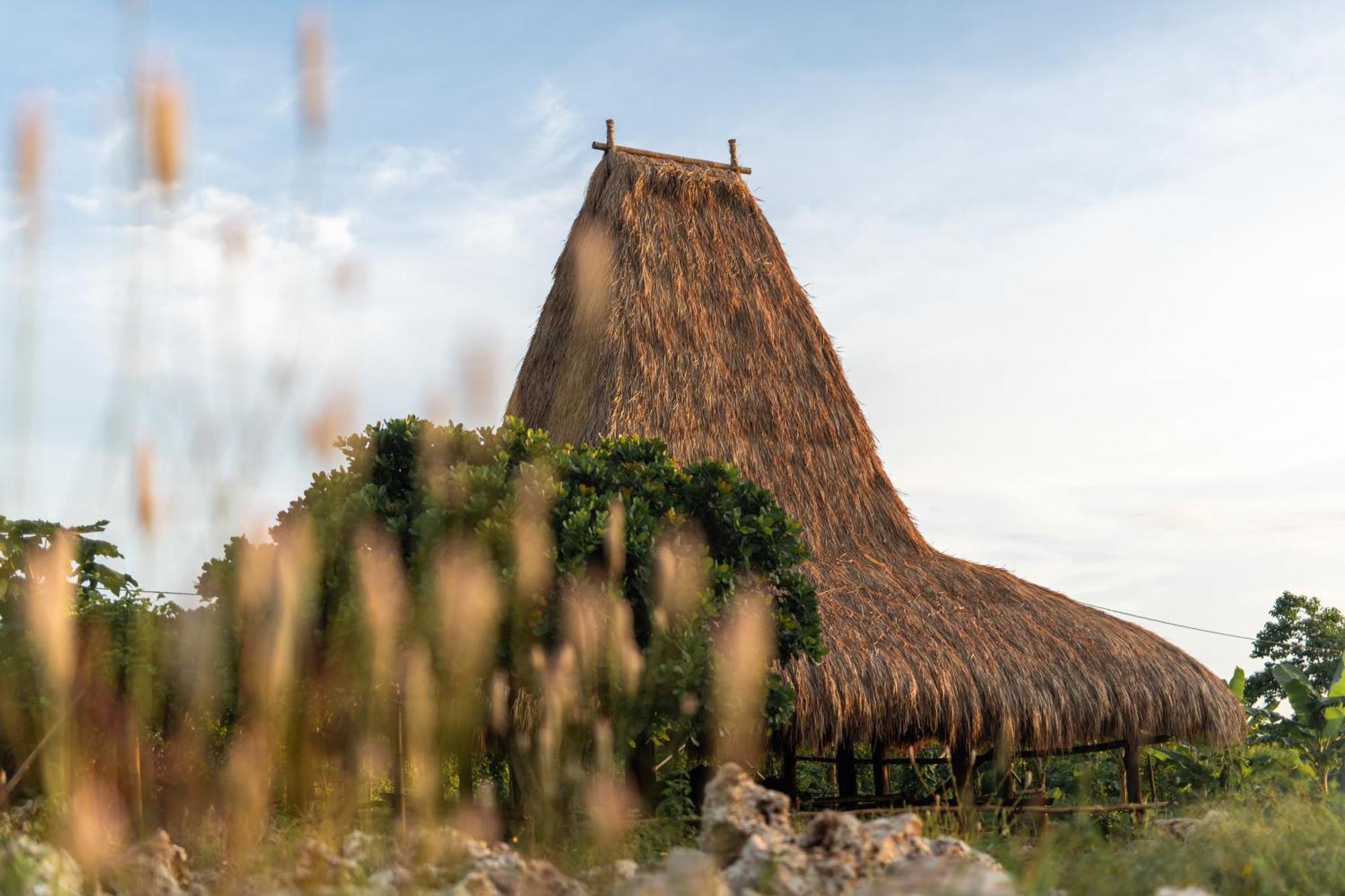 Cap Karoso Sumba - A Member Of Design Hotels Tambolaka 外观 照片